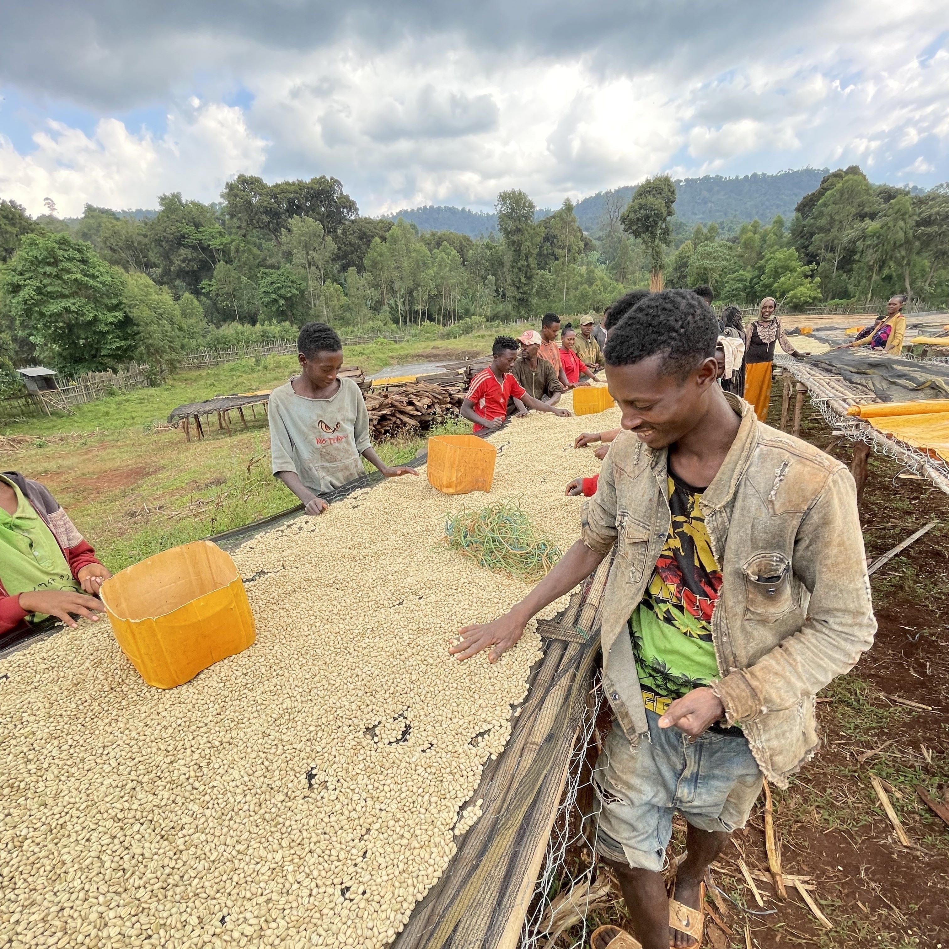 エチオピア Gotiti Reku  Heirloom Washed
