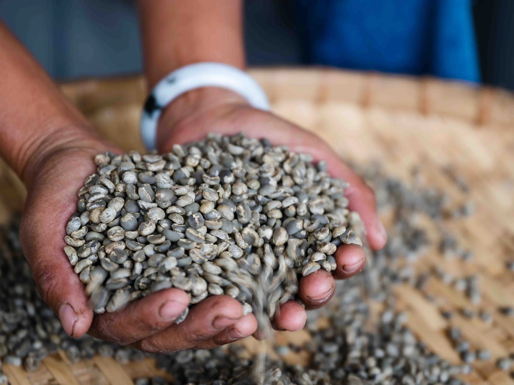 中国 PUER Catimor, Typica Dry Fermentation Washed